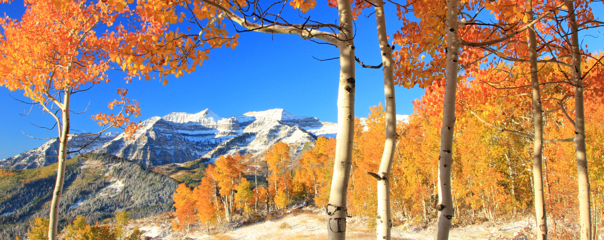 Rocky Mountain Power Wattsmart Battery Program Utah Clean Energy